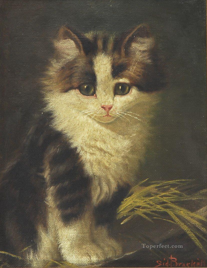 un chat bébé Peintures à l'huile